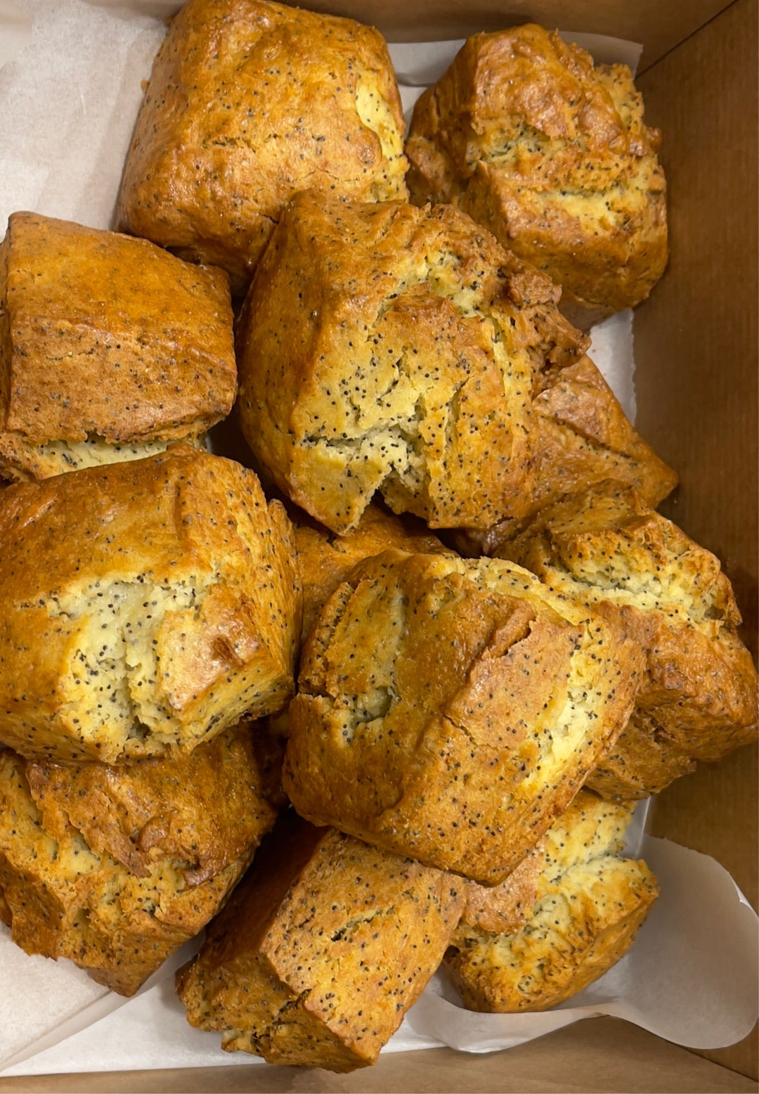Scone