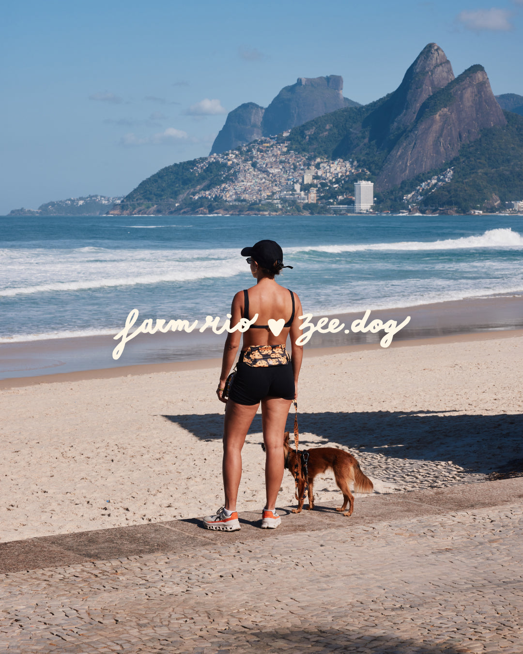 Farm Rio x Zee.Dog Koleksiyonu: En Renkli Köpek Tasmaları ve Kayışlar