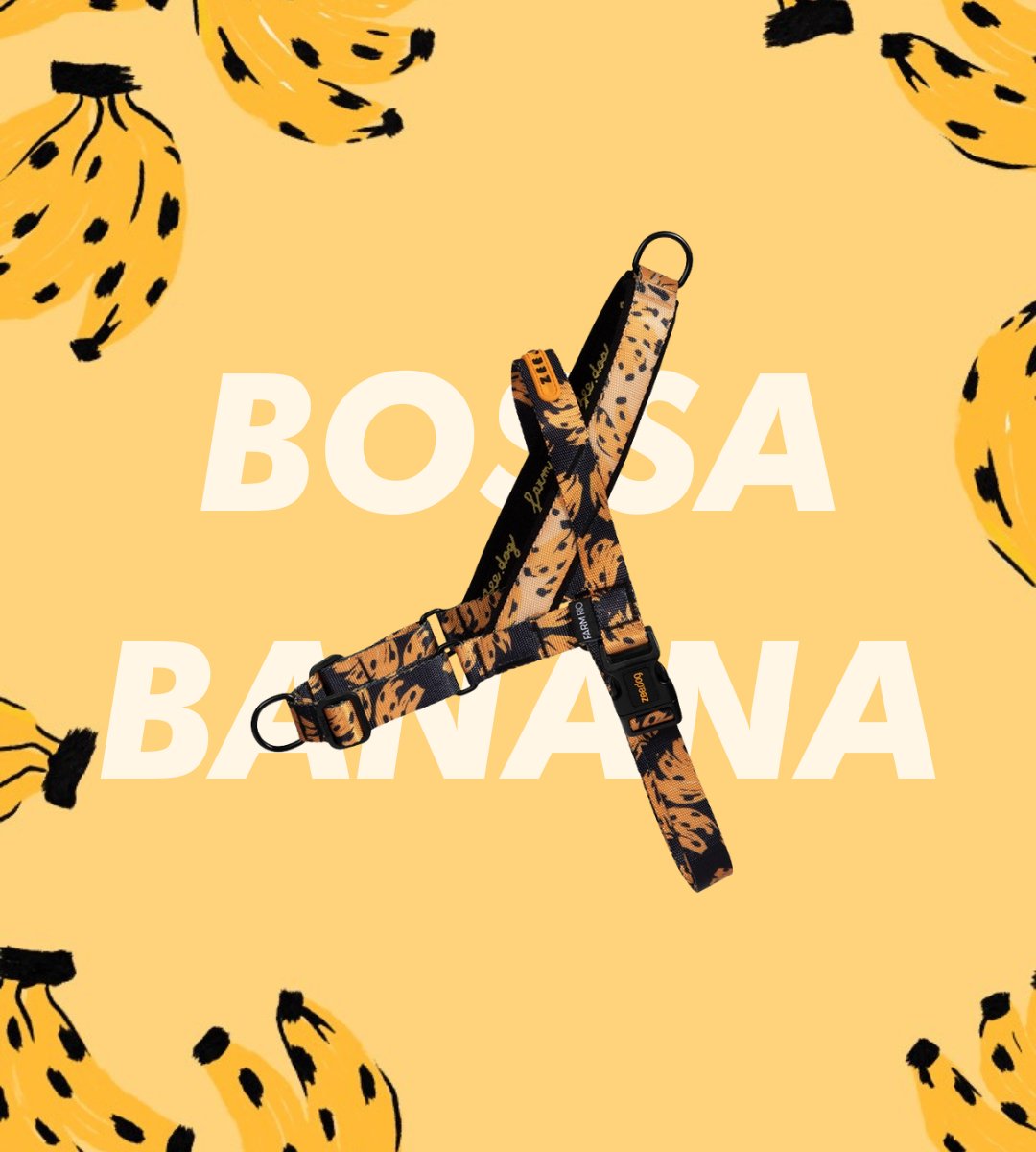 Bossa Banana