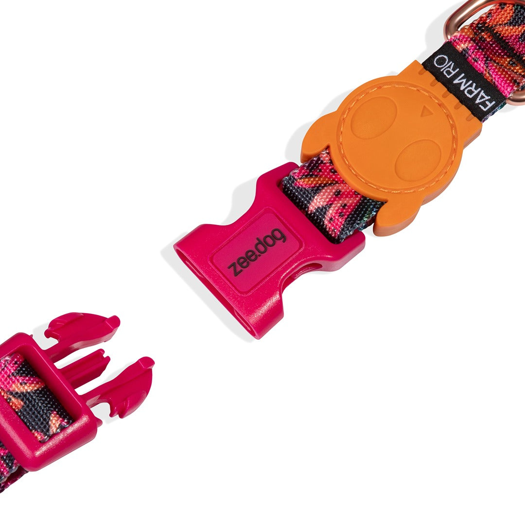 Selva Boyun Tasması - FARM Rio × Zee.Dog