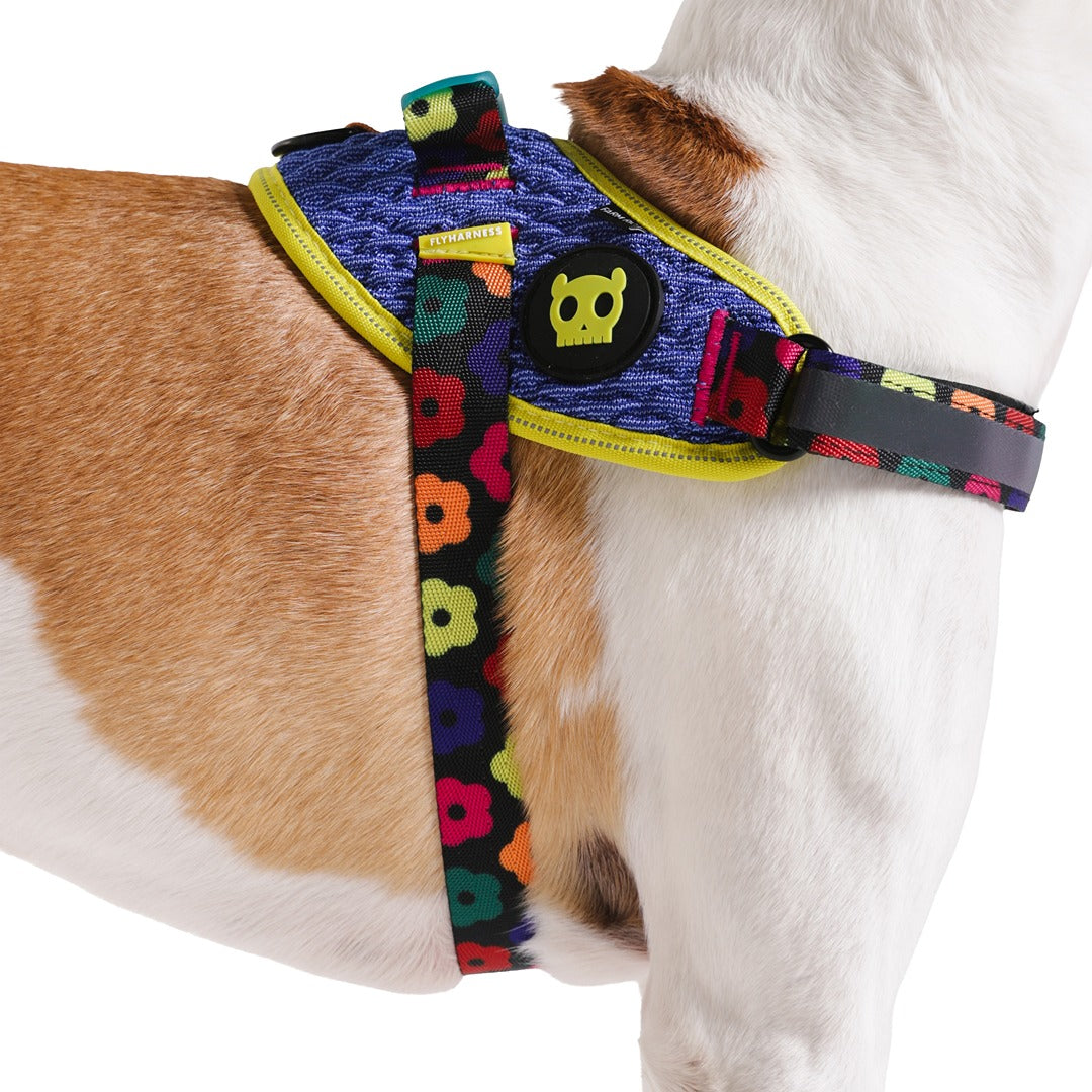 Samba Flyharness Göğüs Tasması - FARM Rio × Zee.Dog