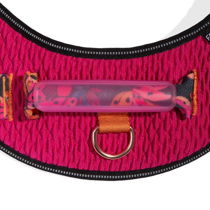 Selva Flyharness Göğüs Tasması - FARM Rio × Zee.Dog