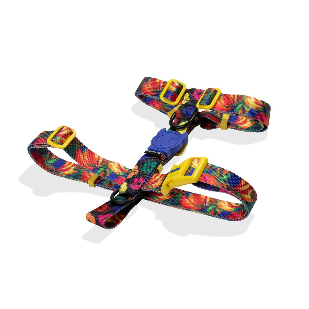 Samba Göğüs Tasması - FARM Rio × Zee.Dog