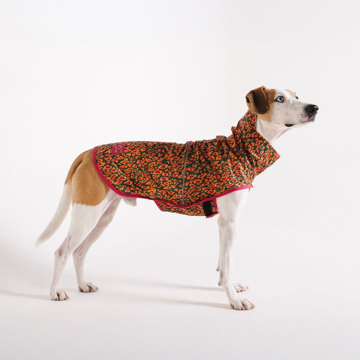 Raincoat Selva - Yağmurluk - FARM Rio × Zee.Dog