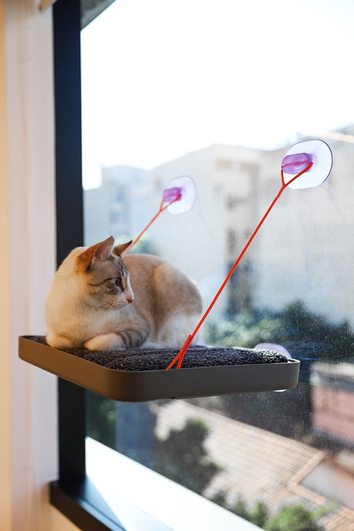 Sky.Bed Kedi Yatağı - Cansei de Ser Gato