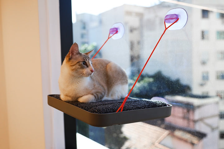 Sky.Bed Kedi Yatağı - Cansei de Ser Gato