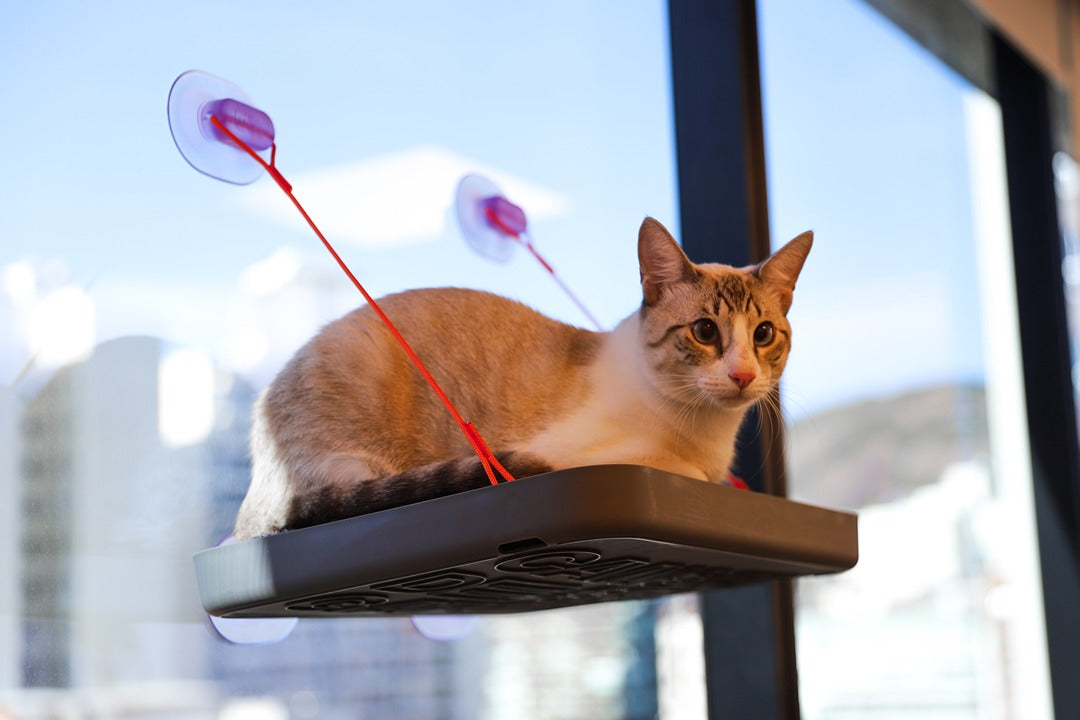 Sky.Bed Kedi Yatağı - Cansei de Ser Gato