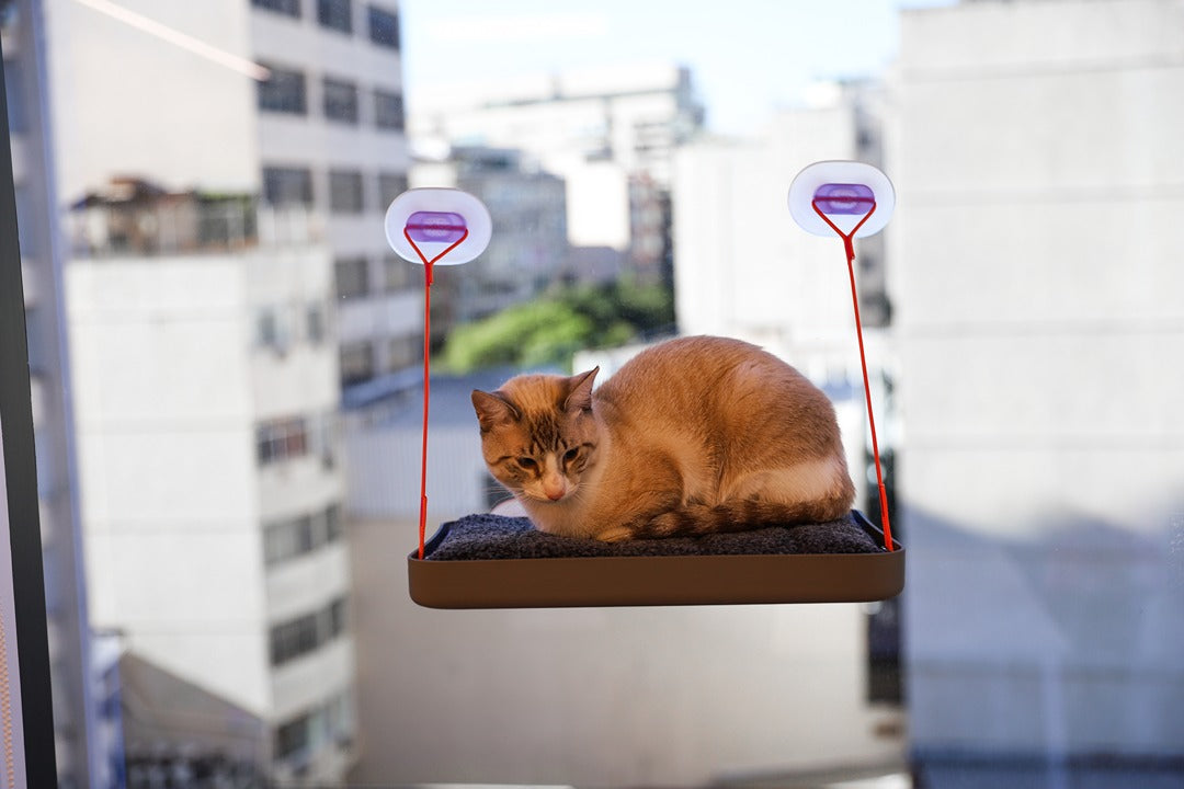 Sky.Bed Kedi Yatağı - Cansei de Ser Gato
