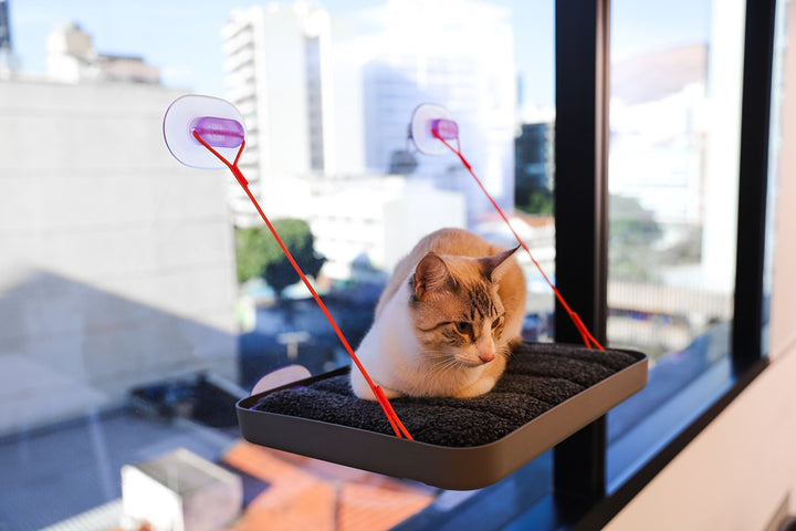 Sky.Bed Kedi Yatağı - Cansei de Ser Gato