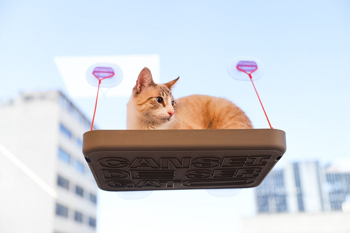 Sky.Bed Kedi Yatağı - Cansei de Ser Gato