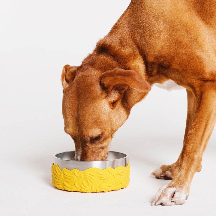 Tuff Bowl Bossa Banana - FARM Rio × Zee.Dog