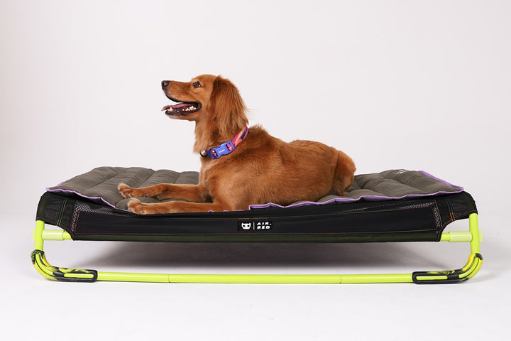 Air.Mat | Zee.Dog
