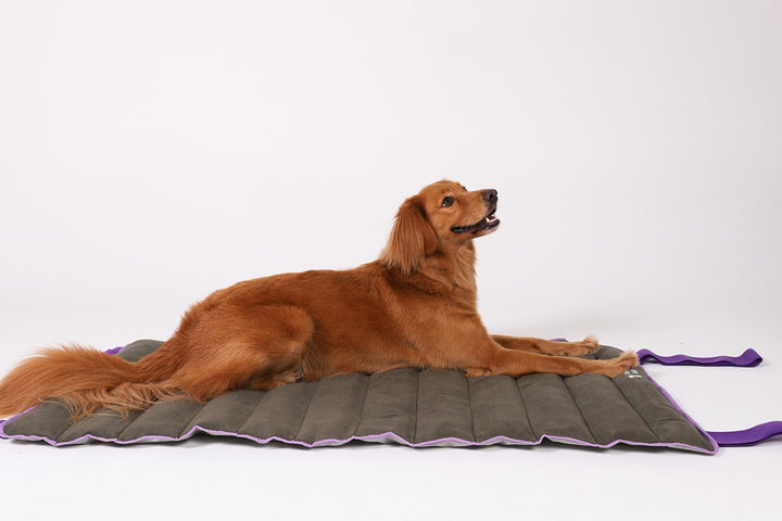 Air.Mat | Zee.Dog