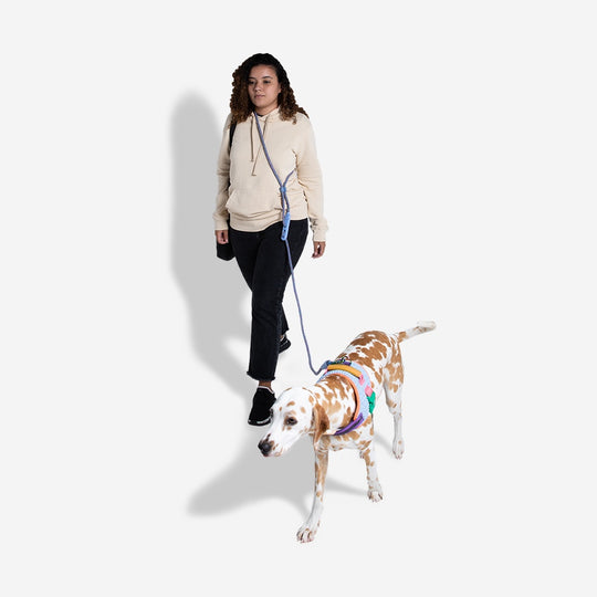 Andromeda Handsfree Halat Gezdirme Tasması - Zee.Dog