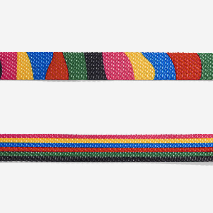 Chroma Boyun Tasması - Zee.Dog