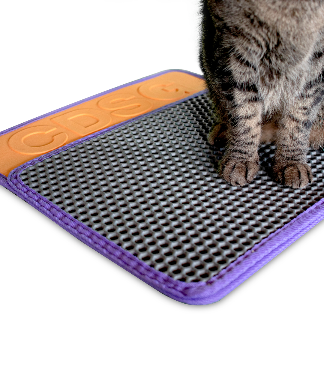 Cansei de Ser Gato – Kedi Kumu Toplama Paspası - Zee Cat