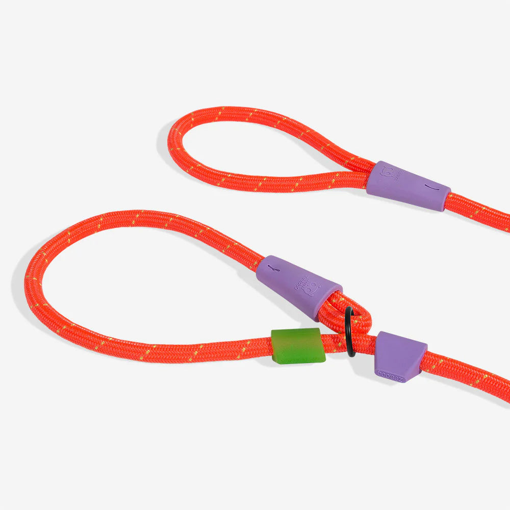 Everest Slip-N-Lock Gezdirme Tasması - Zee.Dog