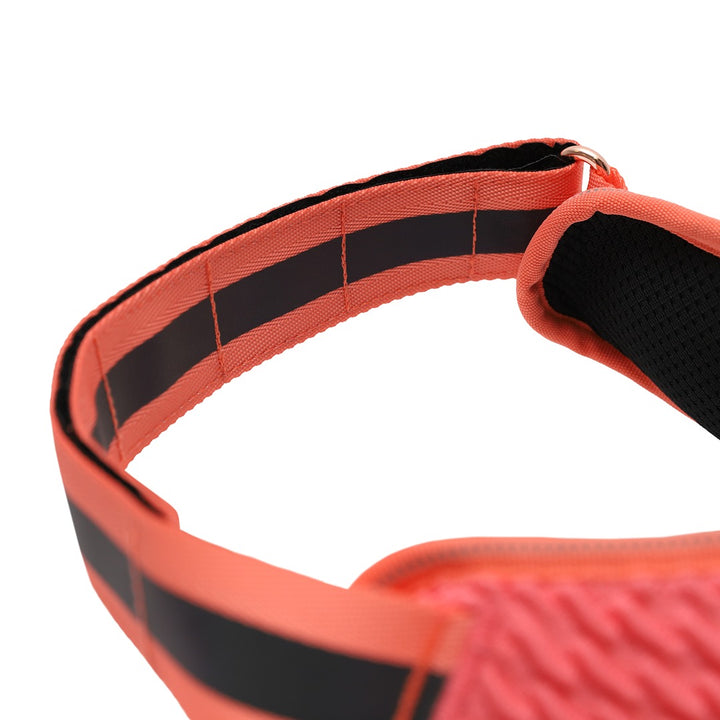 GAZELLE FlyHarness Göğüs Tasması - Zee.Dog