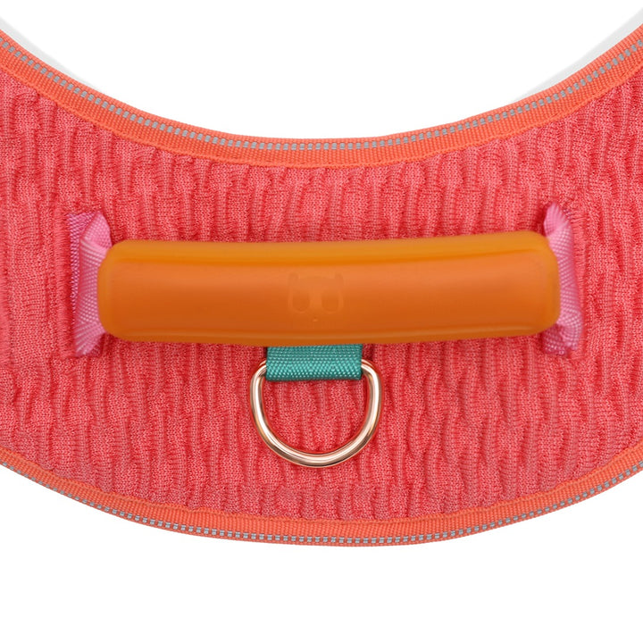 GAZELLE FlyHarness Göğüs Tasması - Zee.Dog