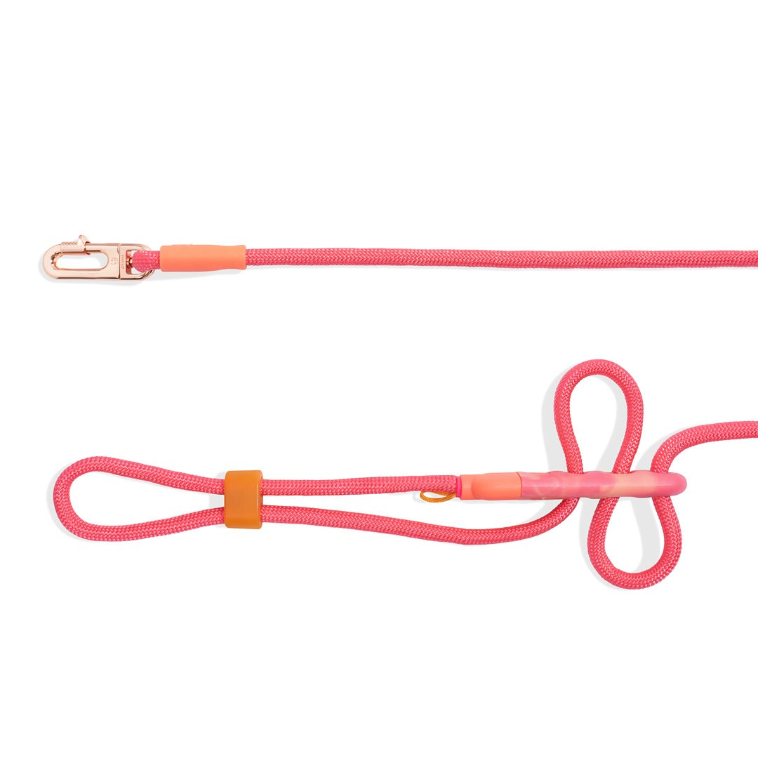 Gazelle Handsfree Halat Gezdirme Tasması - Zee.Dog