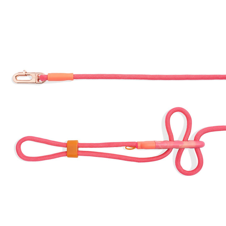 Gazelle Handsfree Halat Gezdirme Tasması - Zee.Dog