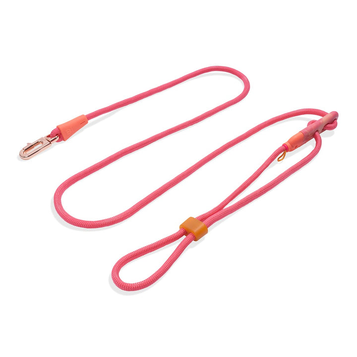 Gazelle Handsfree Halat Gezdirme Tasması - Zee.Dog