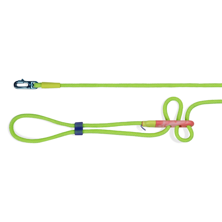 Glo Handsfree Halat Gezdirme Tasması - Zee.Dog