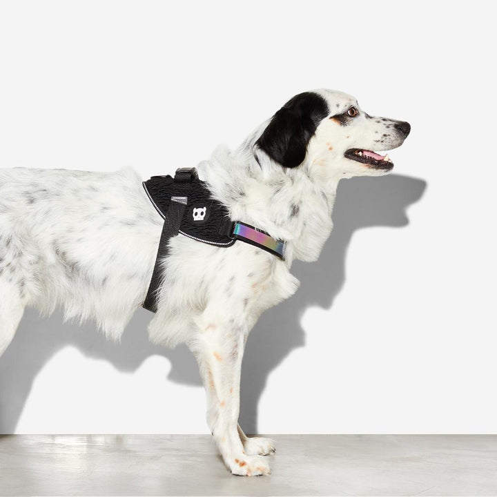 Gotham FlyHarness Göğüs Tasması - Zee.Dog