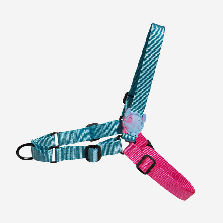 Hydra Soft Walk Göğüs Tasması - Zee.Dog