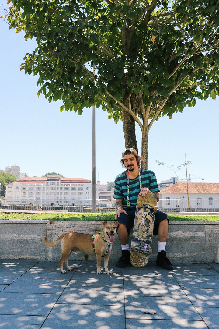 Lords Of Zee.Town Manifesto Göğüs Tasması Tasması - Zee.Dog