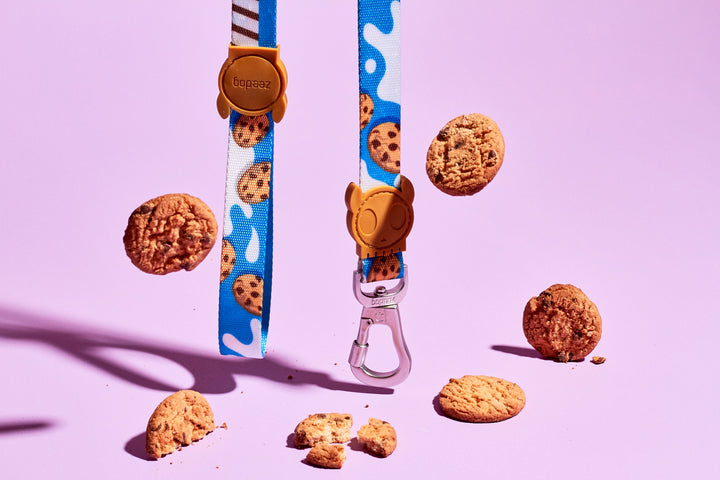 Milky | Gezdirme Tasması