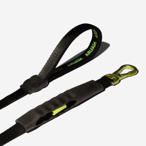 Neon AIRLEASH Gezdirme Tasması - Zee.Dog