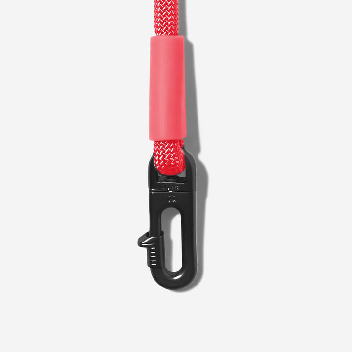 Neon Coral Handsfree Halat Gezdirme Tasması - Zee.Dog
