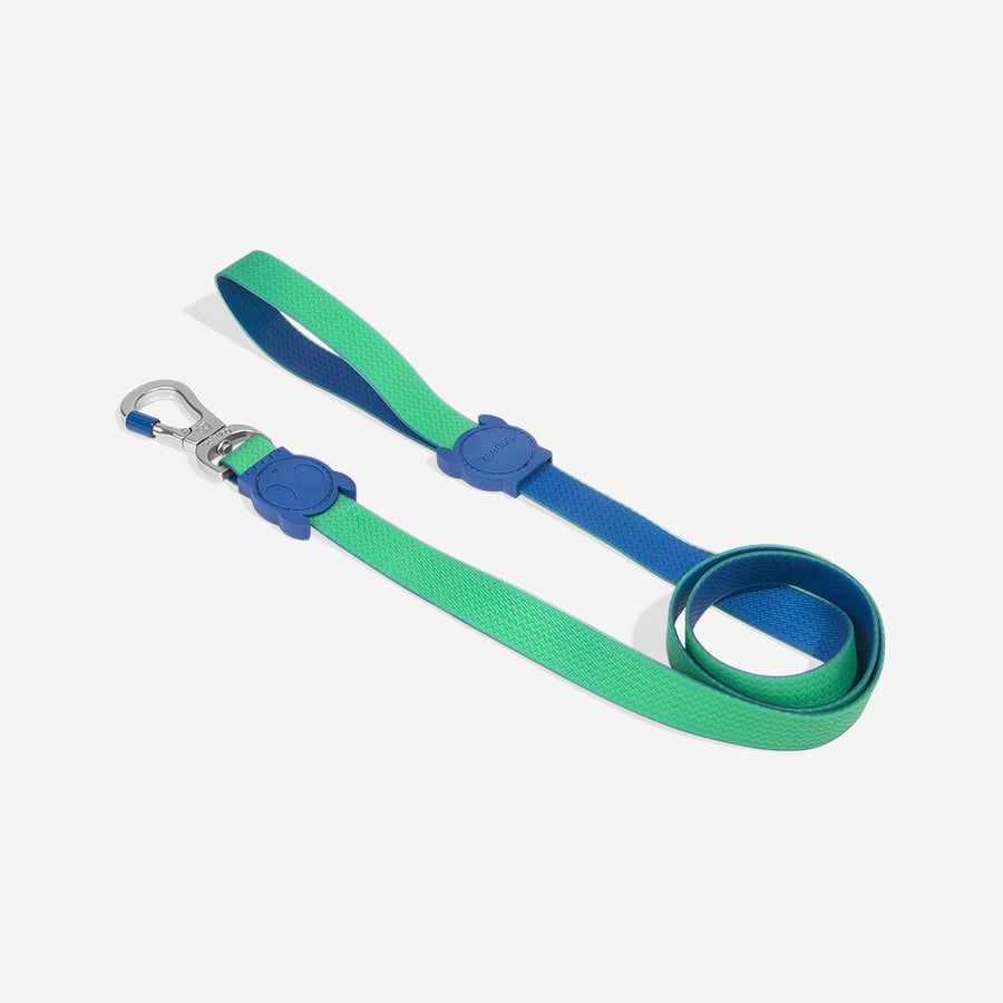 Neopro Apex Gezdirme Tasması - Zee.Dog