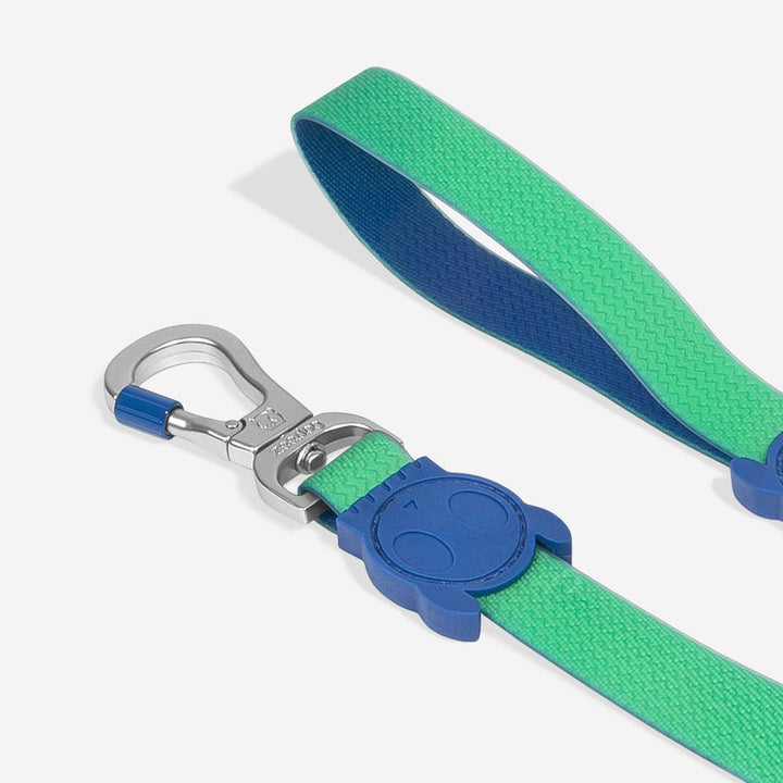 Neopro Apex Gezdirme Tasması - Zee.Dog