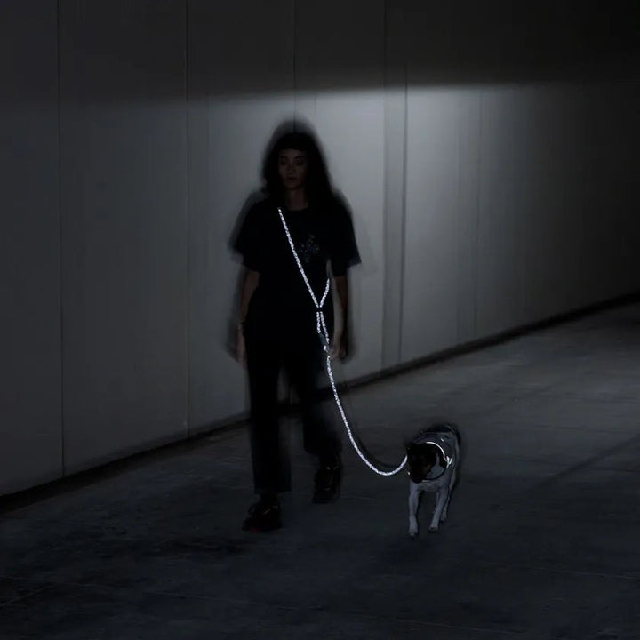 Nox Handsfree Halat Gezdirme Tasması - Zee.Dog