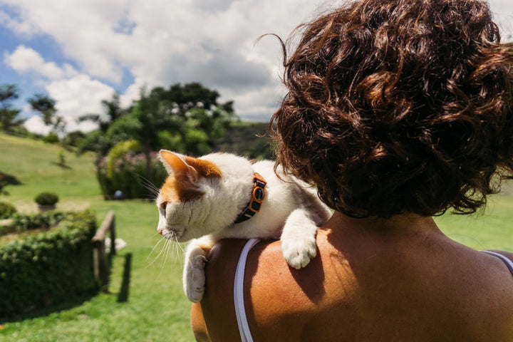 Patagonia | Kedi Tasması
