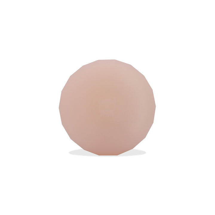 PINK Zee.Dog AIRTAG Kılıfı
