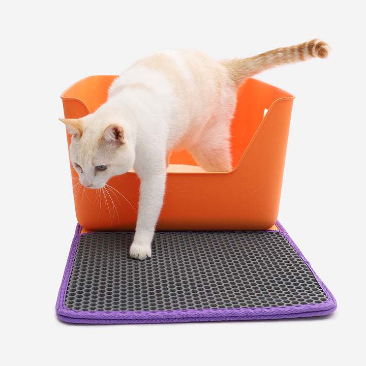 Cansei de Ser Gato – Kedi Kumu Toplama Paspası - Zee Cat