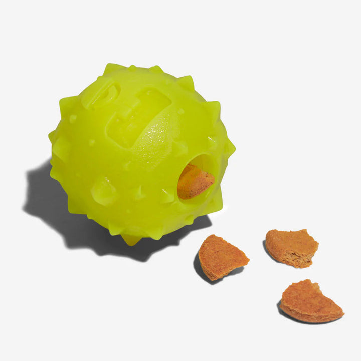Rob The Microbe | Köpek Oyuncağı | Zee.Dog