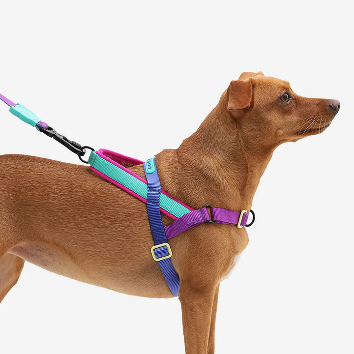 Shockwave Softer Walk Göğüs Tasması - Zee.Dog