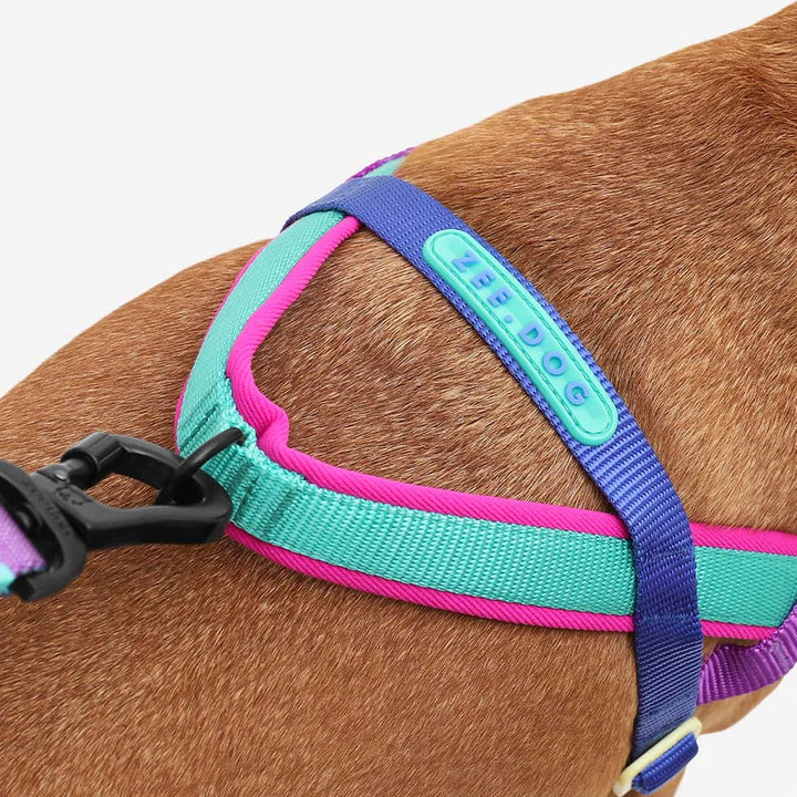 Shockwave Softer Walk Göğüs Tasması - Zee.Dog