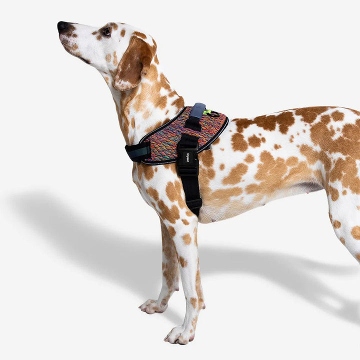 Vortex FlyHarness Göğüs Tasması - Zee.Dog