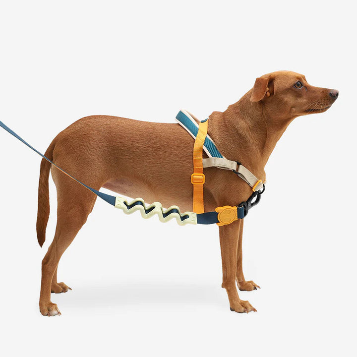 Voyage Softer Walk Göğüs Tasması - Zee.Dog