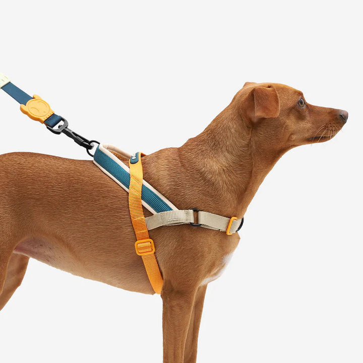 Voyage Softer Walk Göğüs Tasması - Zee.Dog