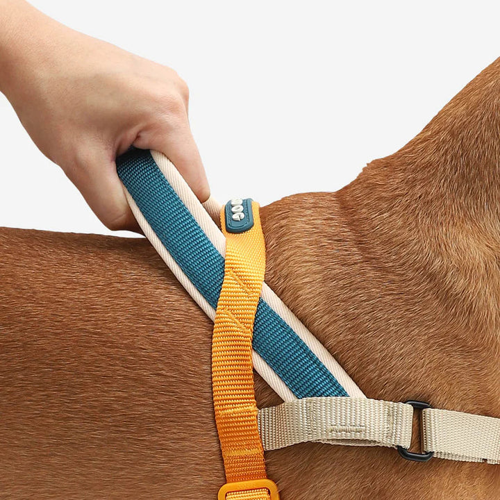 Voyage Softer Walk Göğüs Tasması - Zee.Dog