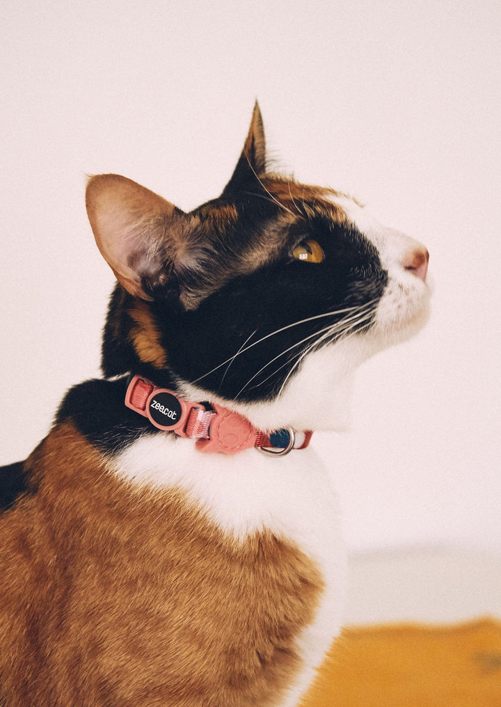Zee.Cat - Same Kedi Tasması