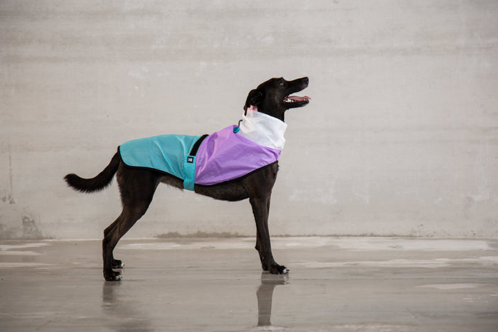 Zee.Dog - Bel Air Yağmurluk