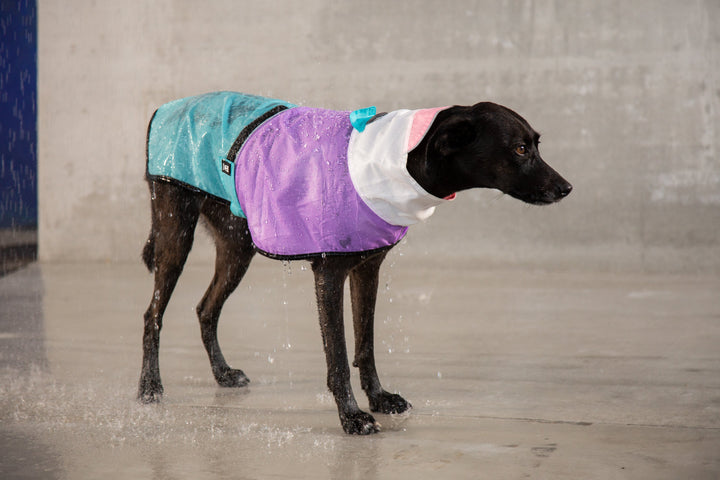 Zee.Dog - Bel Air Yağmurluk