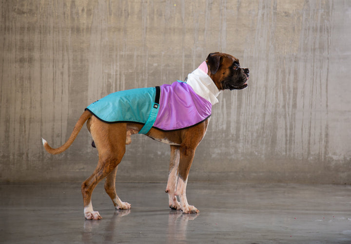 Zee.Dog - Bel Air Yağmurluk